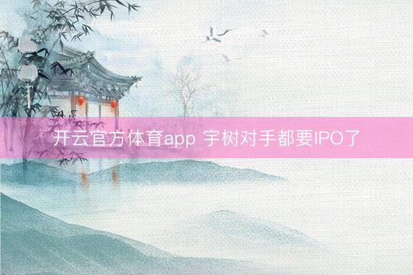 開云官方體育app 宇樹對手都要IPO了